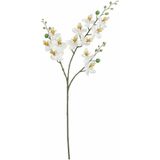 Kunstbloemen boeket Orchidee - 5 stelen - wit - 75 cm - Kunst zijdebloemen - Kunstbloemen