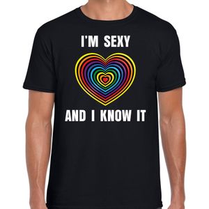 Regenboog hart Sexy and I Know It gay pride zwart t-shirt voor heren - Feestshirts