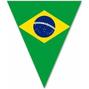 Vlaggenlijn met Brazilie vlaggetjes 5 m - Vlaggenlijnen