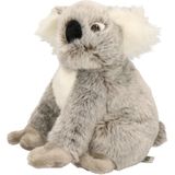 Pluche Knuffel Koala Beer 25 cm - Australische Dieren Knuffels