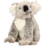 Pluche Knuffel Koala Beer 25 cm - Australische Dieren Knuffels