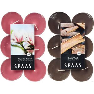 Candles by Spaas geurkaarsen - 24x stuks in 2 geuren Magnolia Blossom en Exotic wood