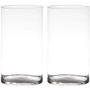 Set van 2x stuks transparante home-basics cylinder vorm vaas/vazen van glas 29 x 14 cm - Vazen