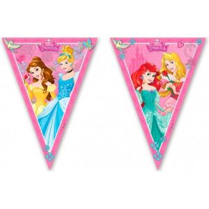 Set van 2x stuks Disney prinses vlaggenlijnen 2,3 m - Vlaggenlijnen