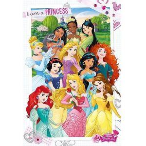 Themafeest prinsessen poster 61 x 91,5 cm - Posters