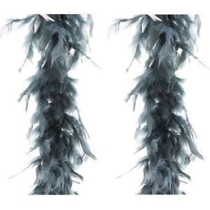2x stuks carnaval verkleed veren Boa kleur grijs 2 meter - Verkleed boa