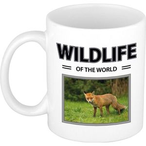 Vos mok met dieren foto wildlife of the world - feest mokken