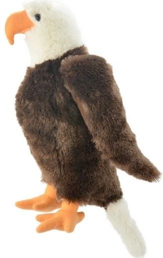 Pluche Amerikaanse zeearend/adelaar knuffel 35 cm - roofvogels knuffels