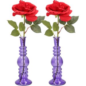 Ideas 4 Seasons Bloemenvaas Florence - 2x - paars glas - helder - D8,5 x H23 cm