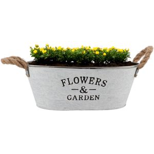 Plantenpot/bloempot teil Jardin - ovaal - zink - wit - L30 x D20 x H12 cm - Plantenbakken