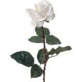Top Art Kunstbloem roos Caroline - wit - 70 cm - zijde - kunststof steel - decoratie bloemen