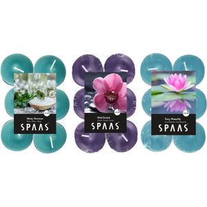 Candles by Spaas geurkaarsen - 36x stuks in 3 geuren - Mint Hammon - Waterlilly - Wild Orchid
