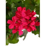 Topart Kunstbloemen boeket Oostenrijkse Geranium fuchsia roze 40 cm - Kunstplanten met bloemen