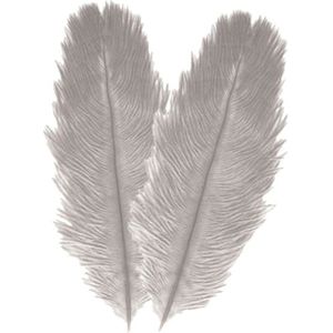Struisvogelveren/sierveren - 2x - licht grijs - 30-35 cm - decoratie/hobbymateriaal - Verkleedveren