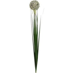 Allium kunstbloem wit 80 cm - Kunstbloemen