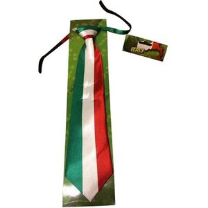 Stropdas met italiaanse vlag - Verkleedstropdassen