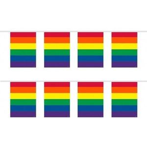 2x stuks slingers in regenboog kleuren 10 meter - Vlaggenlijnen
