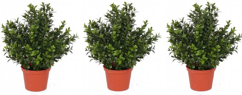 Set van 3x stuks groene Buxus kunstplanten in pot 31 cm - Kantoor/huiskamer nep/namaak planten