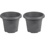 Set van 4x stuks plantenbak/plantenpot Flori grijs 16 cm kunststof tuindecoratie/tuinversiering - Plantenbakken