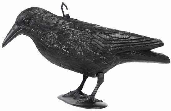 Vogelverschrikker kraai van plastic 36 cm