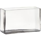 Set van 2x Stuks Transparante Rechthoek Accubak Vaas/Vazen van Glas 25 X 10 X 15 cm