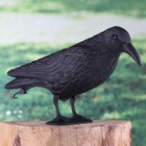 Vogelverschrikker/ Duivenverjager Raaf/Zwarte Kraai 38 cm - Ongediertevallen