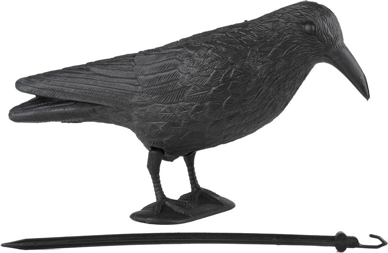 Vogelverschrikker/ Duivenverjager Raaf/Zwarte Kraai 38 cm - Ongediertevallen