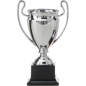 Sport prijs/trofee 21 cm zilver - Fopartikelen