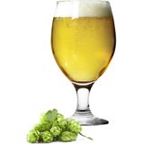 Glasmark Bierglazen - 12x - op voet - 360 ml - glas - speciaal bier