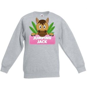 Jumping Jack sweater grijs voor meisjes - paarden trui - kinderkleding / kleding 98/104