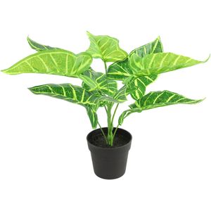 Countryfield Kunstplant Alocasia plant in bloempot - Groen - 15 x 32 cm