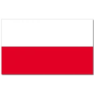 Landen thema vlag Polen 90 x 150 cm feestversiering - Vlaggen