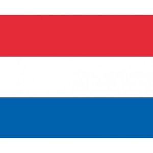 Stickers van de Nederlandse vlag - Feeststickers