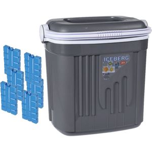 Voordelige normale grijze koelbox 20 liter met 6x normale koelelementen - Koelboxen