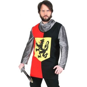 Ridder shirt met capuchon luxe - Carnavalskostuums