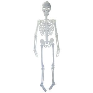 Halloween skelet lichtgevend 150 cm - Halloween poppen