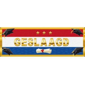 3x stuks stickers Geslaagd Nederlandse vlag 19,6 x 6,5 cm - Feeststickers