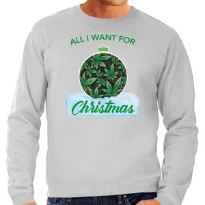 Wiet Kerstbal sweater / foute kersttrui All i want for Christmas grijs voor heren - kerst truien