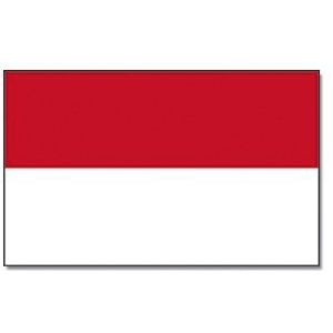 Landen thema vlag Indonesie 90 x 150 cm feestversiering - Vlaggen