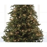 LED buitenverlichting warm wit 40 LED lampjes - Kerstverlichting kerstboom