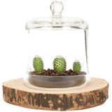 DK Design Decoratie stolp klein - transparant glas - D11 x H13 cm - cloche stolpen