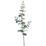 Set van 5x Stuks Groene Eucalyptus Kunsttakken Kunstplant 68 cm - Kunstplanten/Kunsttakken