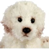 Pluche Knuffeldier Hond - Bichon Frise - 13 cm - Creme Wit - Huisdieren Thema
