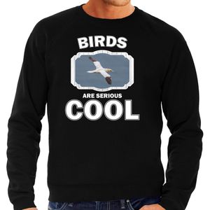 Dieren jan van gent vogel sweater zwart heren - birds are cool trui - Sweaters