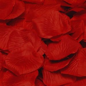 Rode rozen blaadjes - Rozenblaadjes / strooihartjes