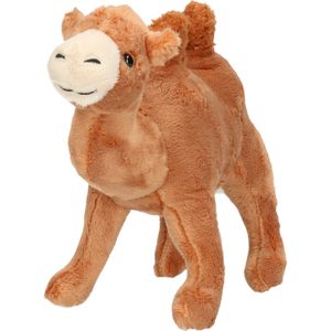 Pluche kameel knuffel dier - bruin - 22 cm - Knuffeldier