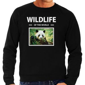 Panda sweater / trui met dieren foto wildlife of the world zwart voor heren - Sweaters