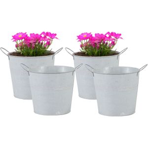 Emmer/plantenpot/bloempot - 4x - zink - whitewash - D14 x H12 cm - Emmers