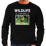 Leeuw sweater / trui met dieren foto wildlife of the world zwart voor heren - Sweaters