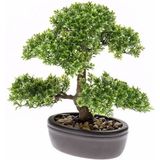 Nep Ficus Mini Bonsai boompje 32 cm - Kunstplanten